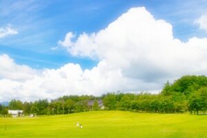 土地の水の気配、風の方向を感じ取る